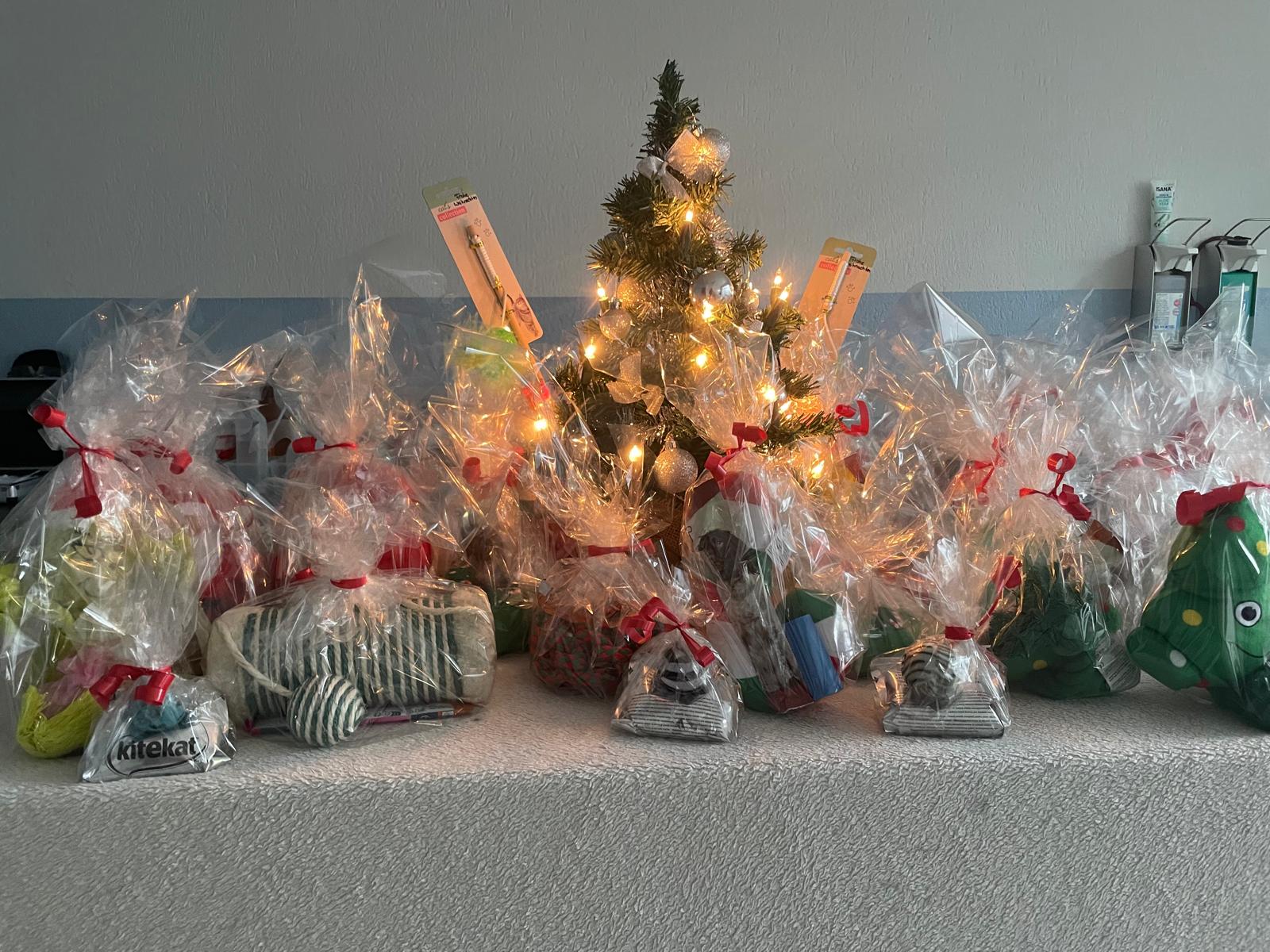 Es warten tolle Gewinne auf Sie. Alles für Ihren tierischen Freund, egal ob Hund oder Katze!