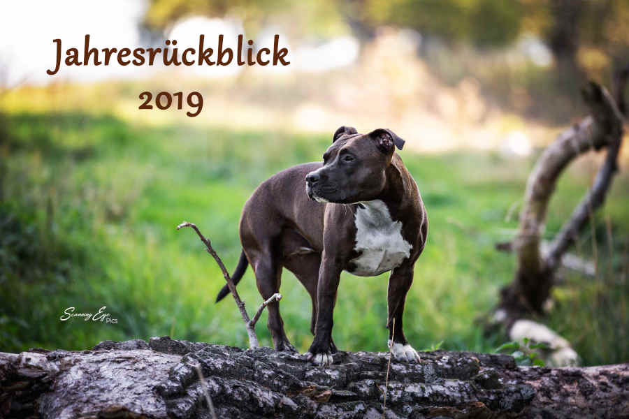 Jahresrückblick 2019