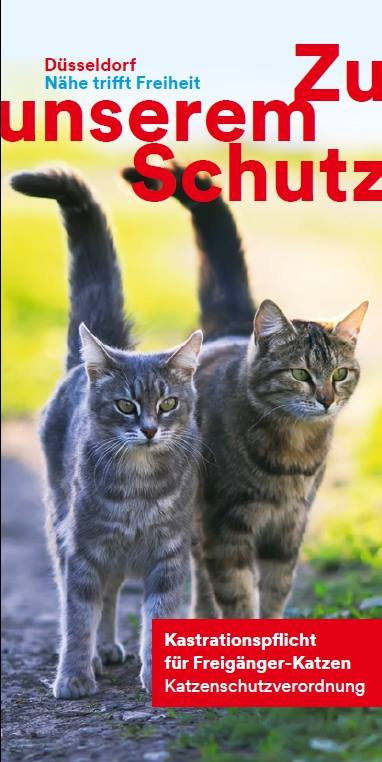 Flyer Kastrationspflicht bei Katzen