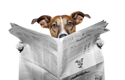 Zeitung lesender Hund.