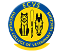 European College of Veterinary Surgeons (ECVS)