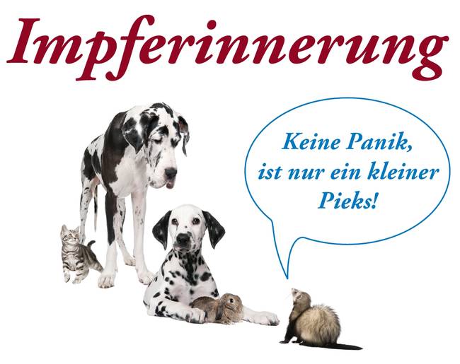 Impferinnerung